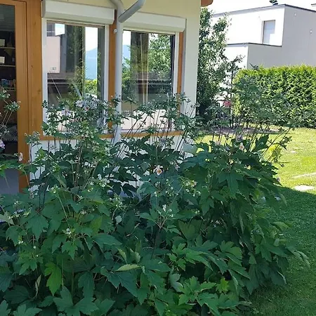 Lejlighed Mit Kleiner Dachterrasse / App. Wald Bytilly *