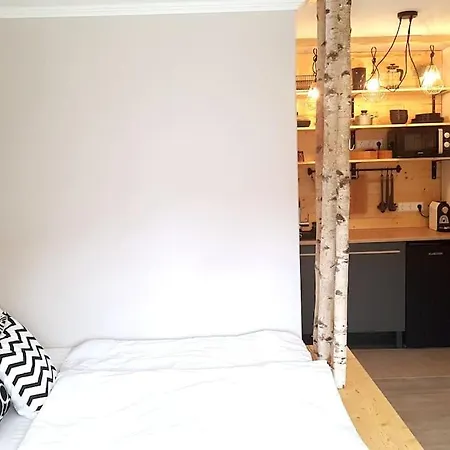 Mit Kleiner Dachterrasse / App. Wald Bytilly *